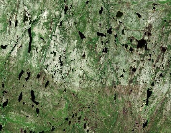 Hmmm, hvor i Norge ser landskapet slik ut? (Copernicus Sentinel data (2015). Prosessering: Institutt for geofag/UiO) Hmmm, hvor i Norge ser landskapet slik ut? (Copernicus Sentinel data (2015). Prosessering: Institutt for geofag/UiO)