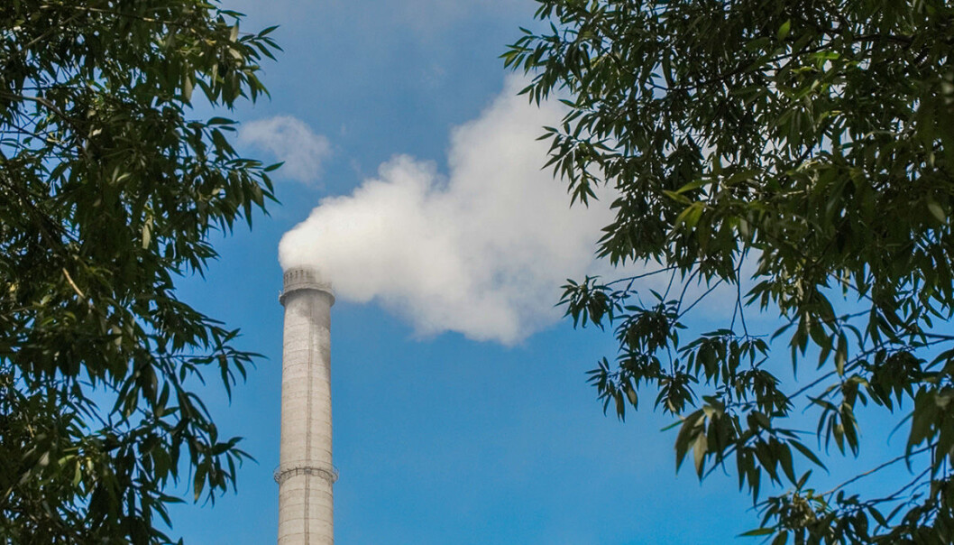 Planter suger opp rundt en tredjedel av menneskeskapt CO2. Svenske forskere har analysert over hundre år gamle døde planter og funnet ut at CO2-opptaket i plantene har økt. Nå kan opptaket være på vei ned igjen. (Foto: www.colourbox.no) Planter suger opp rundt en tredjedel av menneskeskapt CO2. Svenske forskere har analysert over hundre år gamle døde planter og funnet ut at CO2-opptaket i plantene har økt. Nå kan opptaket være på vei ned igjen. (Foto: www.colourbox.no)