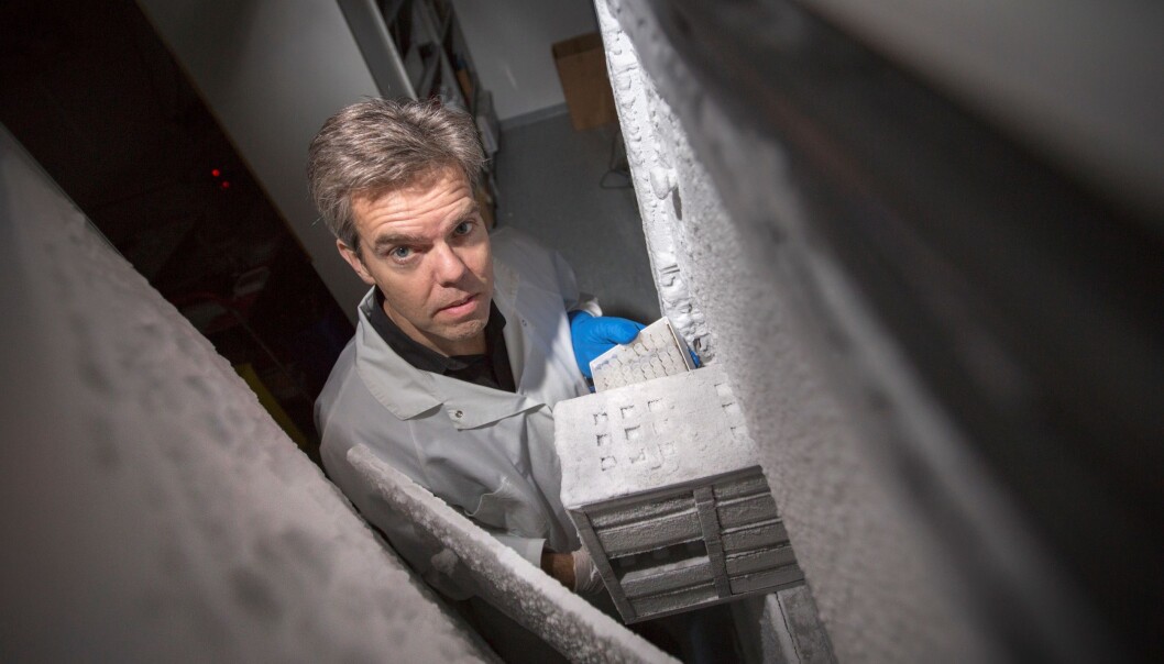 Magnus Essand henter fram de genmodifiserte forkjølelsesvirusene som sannsynligvis snart skal testes ut på pasienter med nevroendokrin kreft. (Foto: Mikael Wallerstedt) Magnus Essand henter fram de genmodifiserte forkjølelsesvirusene som sannsynligvis snart skal testes ut på pasienter med nevroendokrin kreft. (Foto: Mikael Wallerstedt)