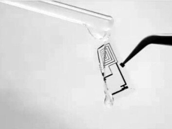 At only a few nanometres in thickness, the circuits are extremely thin, which enables them to dissolve effectively. Some of the circuit components are made of magnesium, others of silicon, and others of silicon with a magnesium additive. (The photo is taken from a video made about the project)
At only a few nanometres in thickness, the circuits are extremely thin, which enables them to dissolve effectively. Some of the circuit components are made of magnesium, others of silicon, and others of silicon with a magnesium additive. (The photo is taken from a video made about the project)