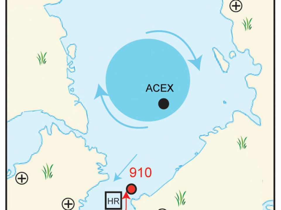 The distribution of ice in the Arctic five million years ago. The red dot marks the location of IODP Hole 910C. (Illustration: CAGE)