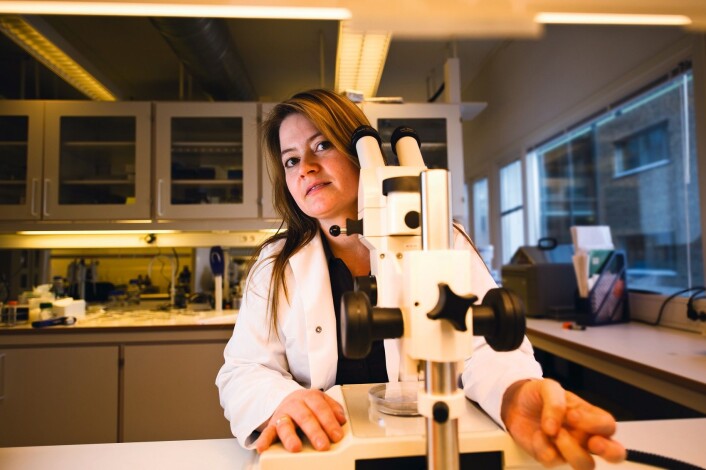 Hilde Nilsen var postdoktor hos Tomas Lindahl. I dag er hun professor og leder for forskningslaboratoriet EpiGen. (Foto: Francesco Saggio, UiO) Hilde Nilsen var postdoktor hos Tomas Lindahl. I dag er hun professor og leder for forskningslaboratoriet EpiGen. (Foto: Francesco Saggio, UiO)