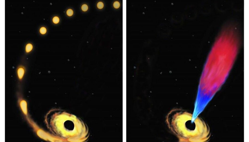 Denne illustrasjonen viser hvordan stjerna blir sugd mot det sorte hullet og deretter revet i stykker (t.v.). På bildet til høyre avgir det sorte hullet en jetstråle fra plasma-gassen som kommer fra den ødelagte stjerna. (Foto: Amadeo Bachar, Johns Hopkins University) Denne illustrasjonen viser hvordan stjerna blir sugd mot det sorte hullet og deretter revet i stykker (t.v.). På bildet til høyre avgir det sorte hullet en jetstråle fra plasma-gassen som kommer fra den ødelagte stjerna. (Foto: Amadeo Bachar, Johns Hopkins University)