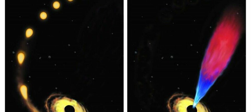 Denne illustrasjonen viser hvordan stjerna blir sugd mot det sorte hullet og deretter revet i stykker (t.v.). På bildet til høyre avgir det sorte hullet en jetstråle fra plasma-gassen som kommer fra den ødelagte stjerna. (Foto: Amadeo Bachar, Johns Hopkins University)