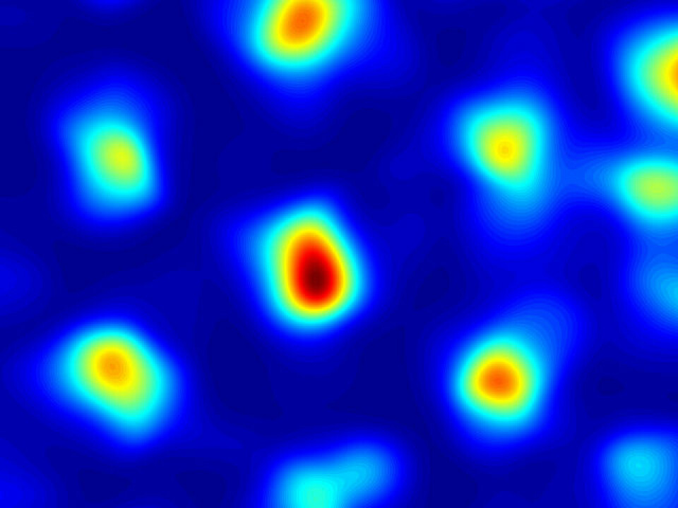 A graphical representation of where a grid cell is activated. The warm colours show where cell is most active and the blue areas are where it is idle. The picture shows the activity of a single grid cell and its response pattern, which forms a set of coordinates that the brain processes into a map. Thus, these cells give the brain a kind of inner GPS. (Photo: Kavli Institute for Systems Neuroscience)