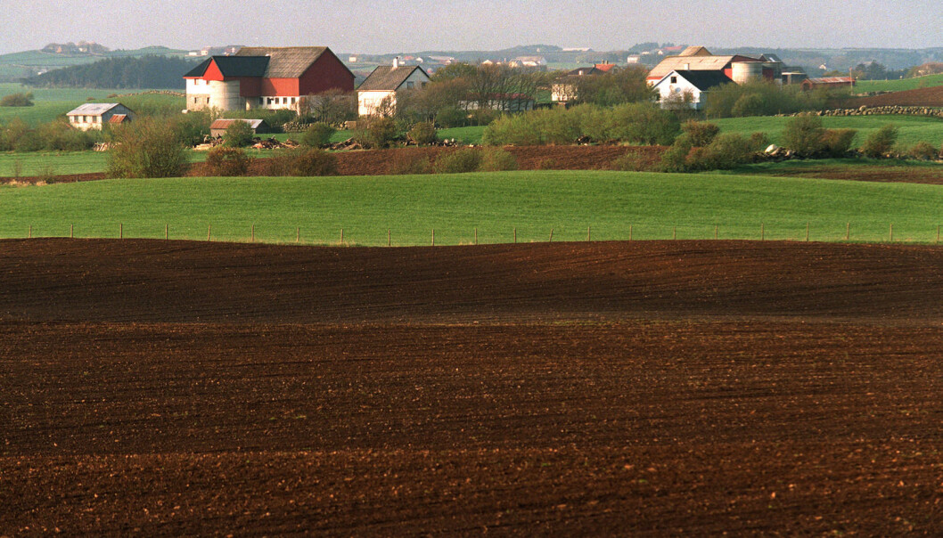 (Foto: NTB Scanpix) (Foto: NTB Scanpix)