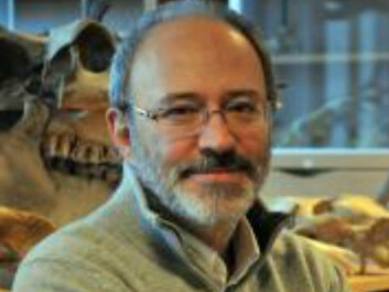 Professor Francesco d’Errico. (Photo: E. Pubert) Professor Francesco d’Errico. (Photo: E. Pubert)