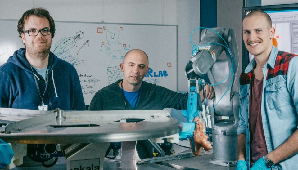 This is the team behind the robot 'Gribbot ', who has a special eye for chicken. From the left: Elling Ruud Øye, Ekrem Misimi and Aleksander Eilertsen at SINTEF. (Photo: TYD/SINTEF)