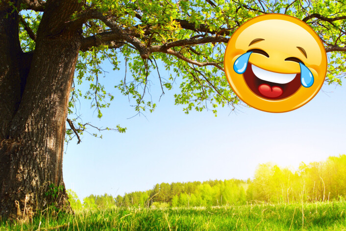 Det engelske og det norske nyordet. (Foto: (Foto og illustrasjon: Shutterstock)) Det engelske og det norske nyordet. (Foto: (Foto og illustrasjon: Shutterstock))