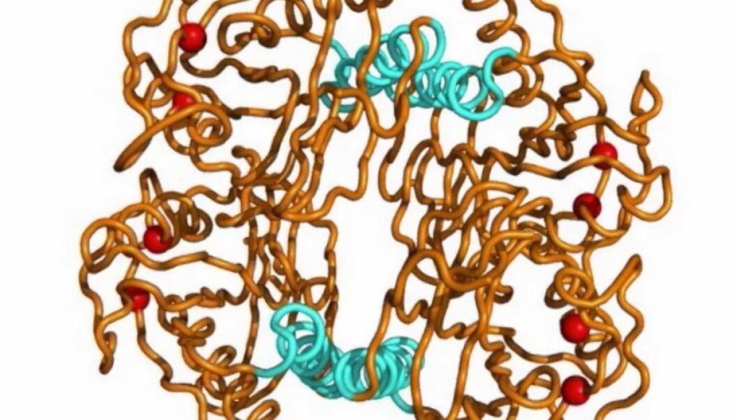 The findings have implications for the manipulation of proteins, with potential applications in biotechnology and drug development. (Photo: Screen dump from Vimeo) The findings have implications for the manipulation of proteins, with potential applications in biotechnology and drug development. (Photo: Screen dump from Vimeo)