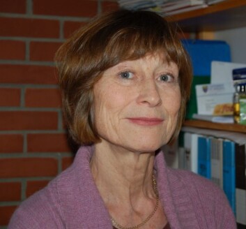 Merete Lie er professor ved NTNU. Hun ser ikke klare likheter mellom den norske og kinesiske idealmannen. (Arkivfoto: NTNU.) Merete Lie er professor ved NTNU. Hun ser ikke klare likheter mellom den norske og kinesiske idealmannen. (Arkivfoto: NTNU.)