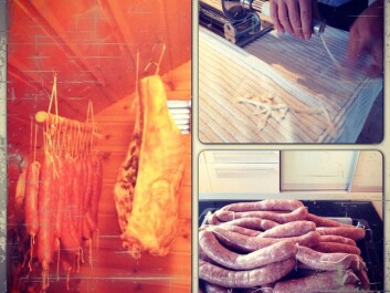 Stuffing, curing and eating sausages is an important tradition in the Eikevik household. (Photo: Rikke Eikevik) Stuffing, curing and eating sausages is an important tradition in the Eikevik household. (Photo: Rikke Eikevik)