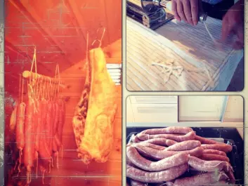 Stuffing, curing and eating sausages is an important tradition in the Eikevik household. (Photo: Rikke Eikevik)