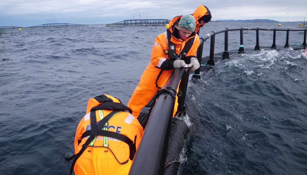 There have been situations where workers have fallen into the sea. (Photo: SINTEF Health Research) There have been situations where workers have fallen into the sea. (Photo: SINTEF Health Research)