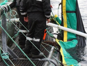 Tripping hazards everywhere. It’s easy to stumble and fall into the sea. (Photo: SINTEF Health Research.) Tripping hazards everywhere. It’s easy to stumble and fall into the sea. (Photo: SINTEF Health Research.)