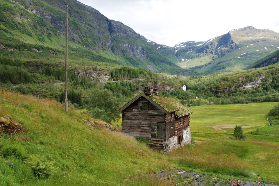 Lokal matproduksjon ivaretar åpne landskap. (Foto: Bolette Bele, Nibio)