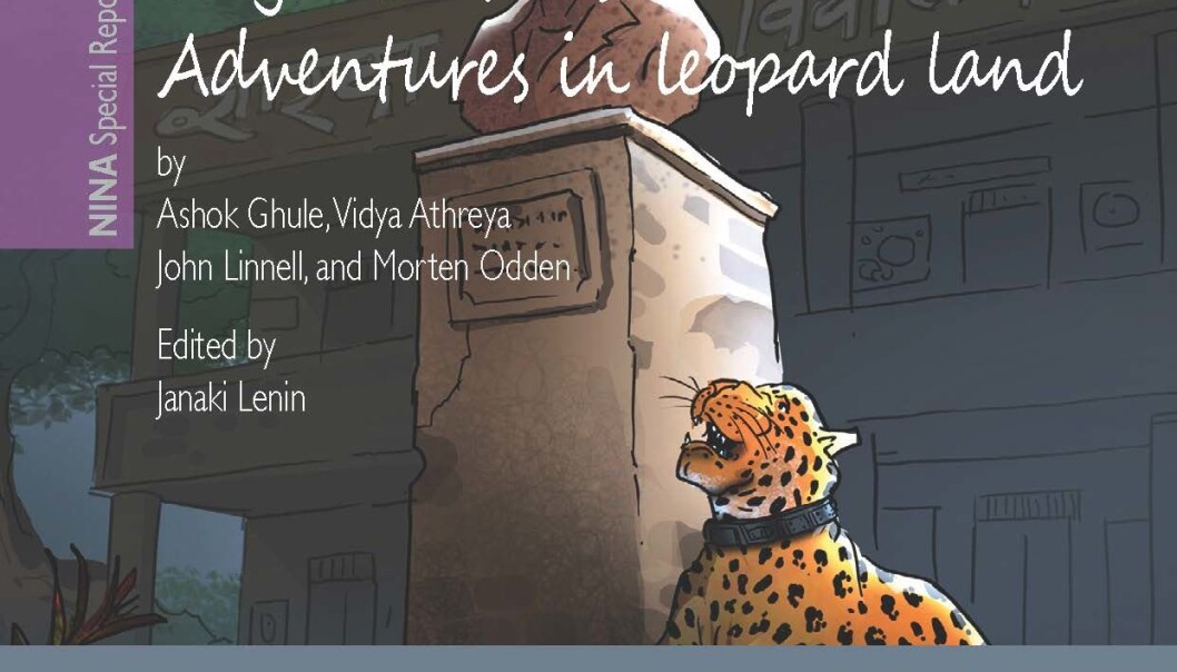 Adventures in leopard land. (Illustration: NINA) Adventures in leopard land. (Illustration: NINA)