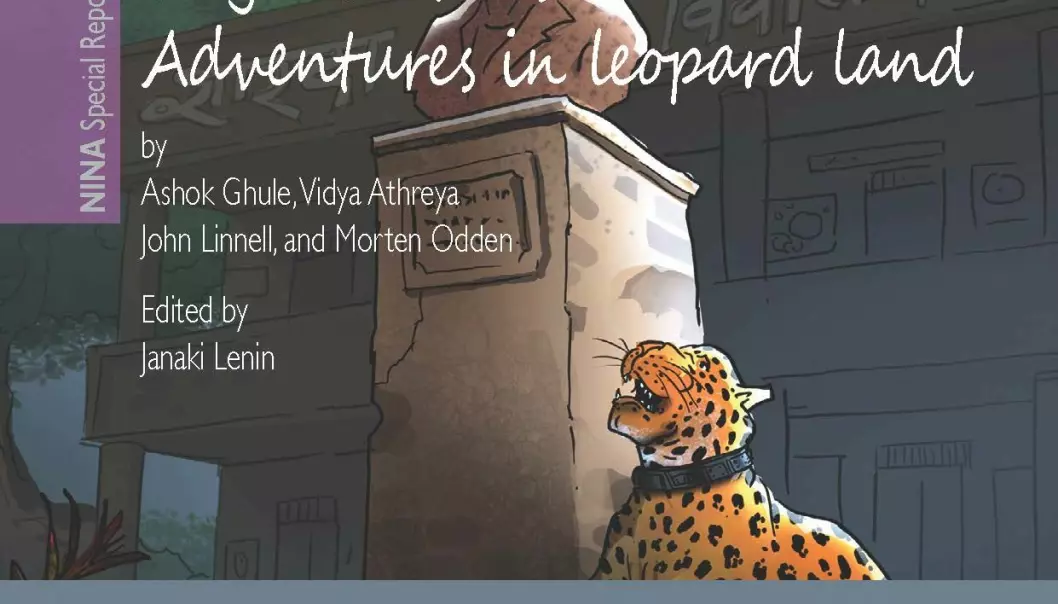Adventures in leopard land. (Illustration: NINA)
