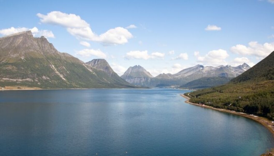 Norway is a cold country, but would have been even colder if the Gulf Stream flowed faster past the rugged coast. (Photo: iStockphoto) Norway is a cold country, but would have been even colder if the Gulf Stream flowed faster past the rugged coast. (Photo: iStockphoto)