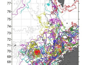 A spaghetti plot shows the trajectories of the drifting buoys. (Illustration: POLEWARD project) A spaghetti plot shows the trajectories of the drifting buoys. (Illustration: POLEWARD project)