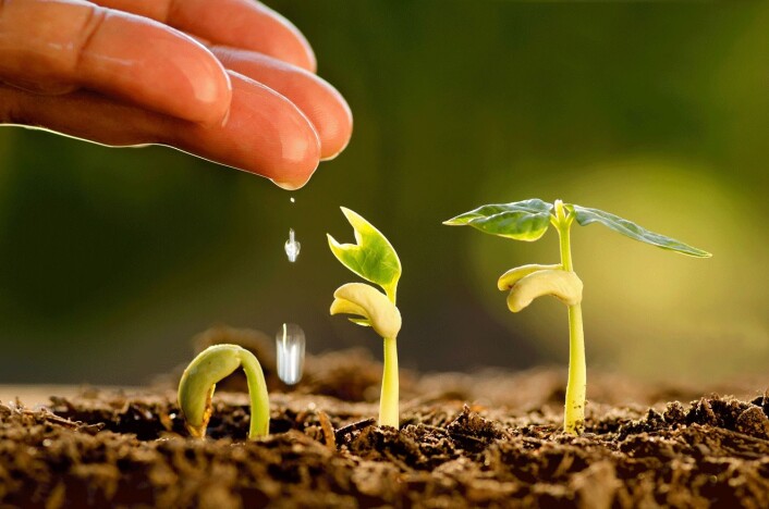 (Illustrasjonsfoto: Shutterstock) (Illustrasjonsfoto: Shutterstock)