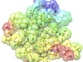 Working with Aarhus University, Simen Reine has calculated the tensions between the electrons and atoms of an insulin molecule. An insulin molecule consists of 782 atoms and 3,500 electrons. (Illustration: Simen Reine-UiO) Working with Aarhus University, Simen Reine has calculated the tensions between the electrons and atoms of an insulin molecule. An insulin molecule consists of 782 atoms and 3,500 electrons. (Illustration: Simen Reine-UiO)