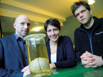 To understand how this huge network of billions of nerve cells in the brain works, Anders Malthe-Sørenssen (on the left), Marianne Fyhn and Gaute Einevoll must resort to enormous computations on the university's powerful computational computer. (Photo: Ola Sæther) To understand how this huge network of billions of nerve cells in the brain works, Anders Malthe-Sørenssen (on the left), Marianne Fyhn and Gaute Einevoll must resort to enormous computations on the university's powerful computational computer. (Photo: Ola Sæther)