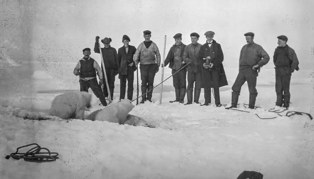 Den norske polarhistorien handler også om erobring av nye områder og isbjørnjakt. Troféjakt i Arktis var et fenomen allerede tidlig på 1800-tallet. (Foto: Giæver/Perspektivet Museum)