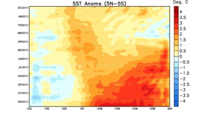 Det kan bli noen år til neste gang vi får se Stillehavet ved ekvator så varmt i november som det er nå. (Bilde: NOAA) Det kan bli noen år til neste gang vi får se Stillehavet ved ekvator så varmt i november som det er nå. (Bilde: NOAA)