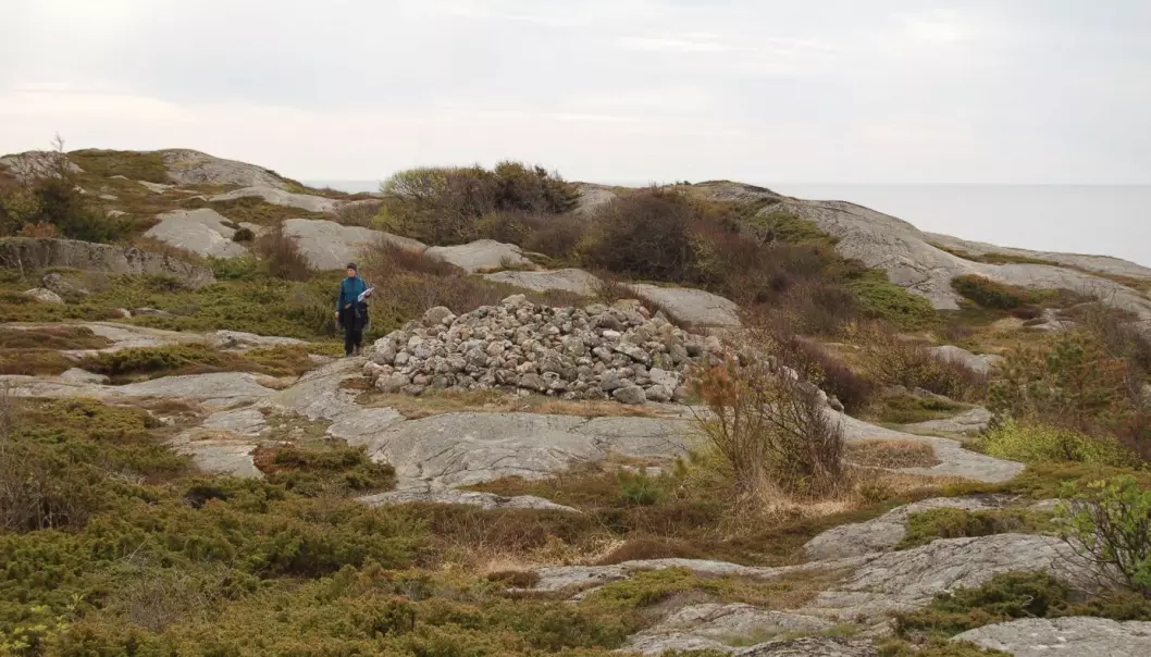 Åsrøys fra bronsealderen i kystlandskapet på Brunlanes ved Larvik i Vestfold. Røysa er bygget av relativt store stein og inneholder ingen eller lite jord. Åsrøysenes beliggenhet i landskapet viser at de henvendte seg mot folk som nærmet seg fra sjøen. (Foto: NIKU)