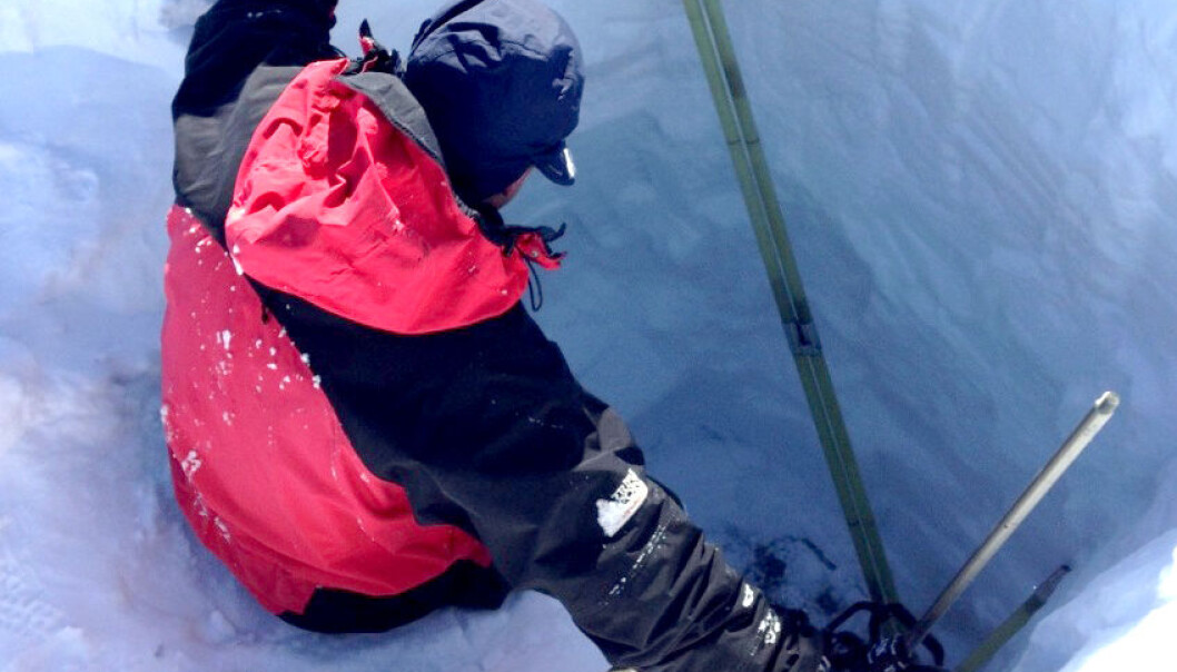 Researchers bore tunnels in the ice to examine it. Here, from the glacier Storbreen in 2013, before the hot summer the following year. (Photo: NTNU SPARC project) Researchers bore tunnels in the ice to examine it. Here, from the glacier Storbreen in 2013, before the hot summer the following year. (Photo: NTNU SPARC project)