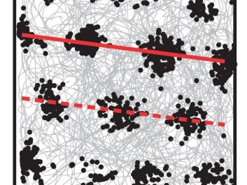 The rat’s trajectory over time is shown in gray. Superimposed are dots that show where one grid cell was active. The red lines show how the grid pattern is not parallel to the box walls, but rather show a slight rotation of 7.5 degrees. (Illustration: Kavli Institute for Systems Neuroscience) The rat’s trajectory over time is shown in gray. Superimposed are dots that show where one grid cell was active. The red lines show how the grid pattern is not parallel to the box walls, but rather show a slight rotation of 7.5 degrees. (Illustration: Kavli Institute for Systems Neuroscience)