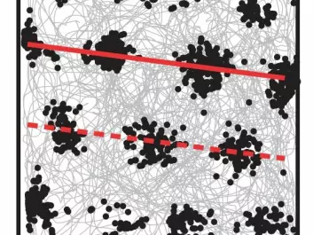 The rat’s trajectory over time is shown in gray. Superimposed are dots that show where one grid cell was active. The red lines show how the grid pattern is not parallel to the box walls, but rather show a slight rotation of 7.5 degrees. (Illustration: Kavli Institute for Systems Neuroscience)