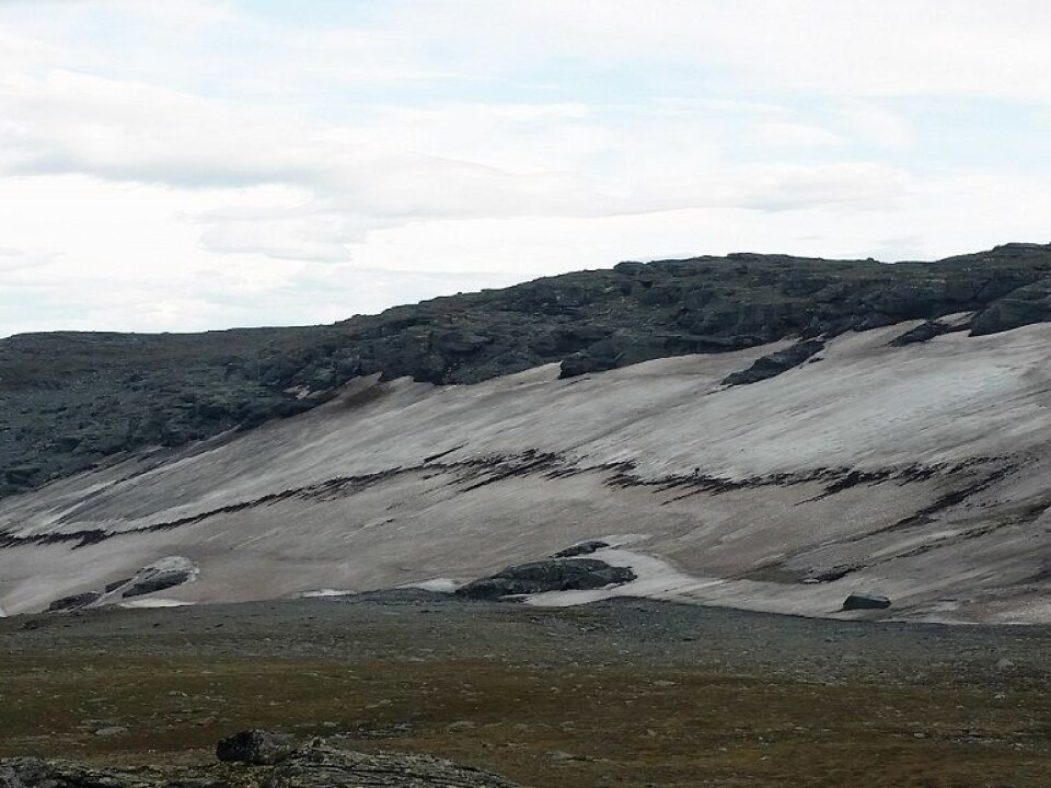 Kringsollfonna photographed in July 2014. The snow patch is 400 m wide and 100 m long. By October 2014, more than four meters had melted. The dark band across the glacier is organic material emerging from the snowmelt, which contains both macrofossils and manmade objects. /Photo: Geir Vatne, NTNU)