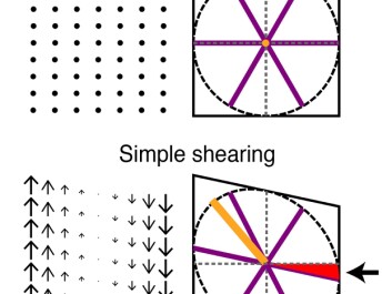 Shearing reproduces both asymmetry and rotation seen in recorded grid cells. Shearing displaces points on a grid proportionally to the distance from a shear axis (left panels). Shearing a grid pattern comes out as turning it elliptical and introducing a rotation to the previously parallel axis (right panels, red area and arrow). (Illustration: Tor Stensola/NTNU Kavli Institute) Shearing reproduces both asymmetry and rotation seen in recorded grid cells. Shearing displaces points on a grid proportionally to the distance from a shear axis (left panels). Shearing a grid pattern comes out as turning it elliptical and introducing a rotation to the previously parallel axis (right panels, red area and arrow). (Illustration: Tor Stensola/NTNU Kavli Institute)