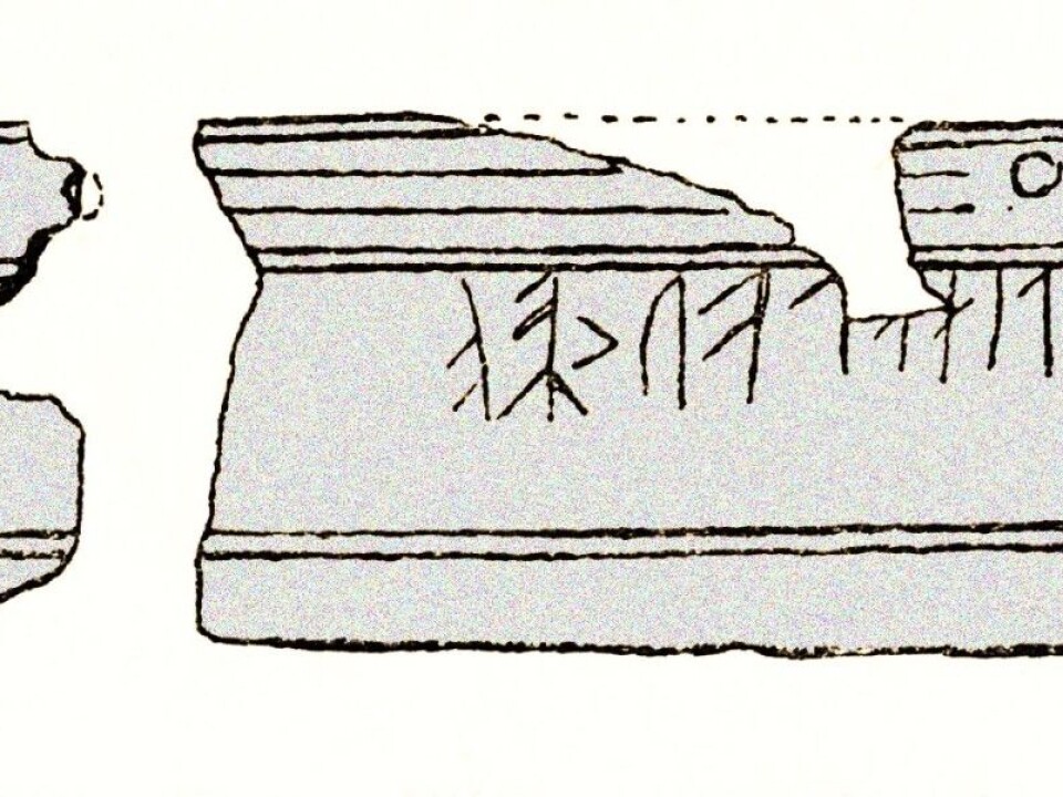 Bone knife with runes found in a grave in Fløksand in northern Hordaland county, Norway. The inscription reads: lina laukaRa. In ancient folklore onion was a protection against disease and spells. The runes on the blade were probably spoken in a phallic ritual. (Illustration: NIæR, Norges Innskrifter med de ældre Runer (Inscriptions in the Elder Futhark)) Bone knife with runes found in a grave in Fløksand in northern Hordaland county, Norway. The inscription reads: lina laukaRa. In ancient folklore onion was a protection against disease and spells. The runes on the blade were probably spoken in a phallic ritual. (Illustration: NIæR, Norges Innskrifter med de ældre Runer (Inscriptions in the Elder Futhark))