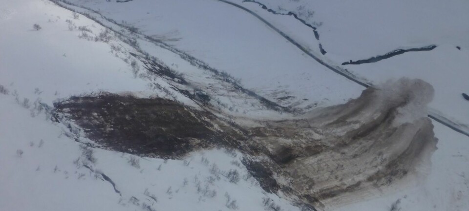 Det store glideskredet som gikk i Kvassdalen den 8.4. i 2015. Du kan se vegen nede i bunn av dalen, og skredet er rundt 100 meter bredt. Det ligger åtte meter snø på vegbanen. (Foto: Statens vegvesen)