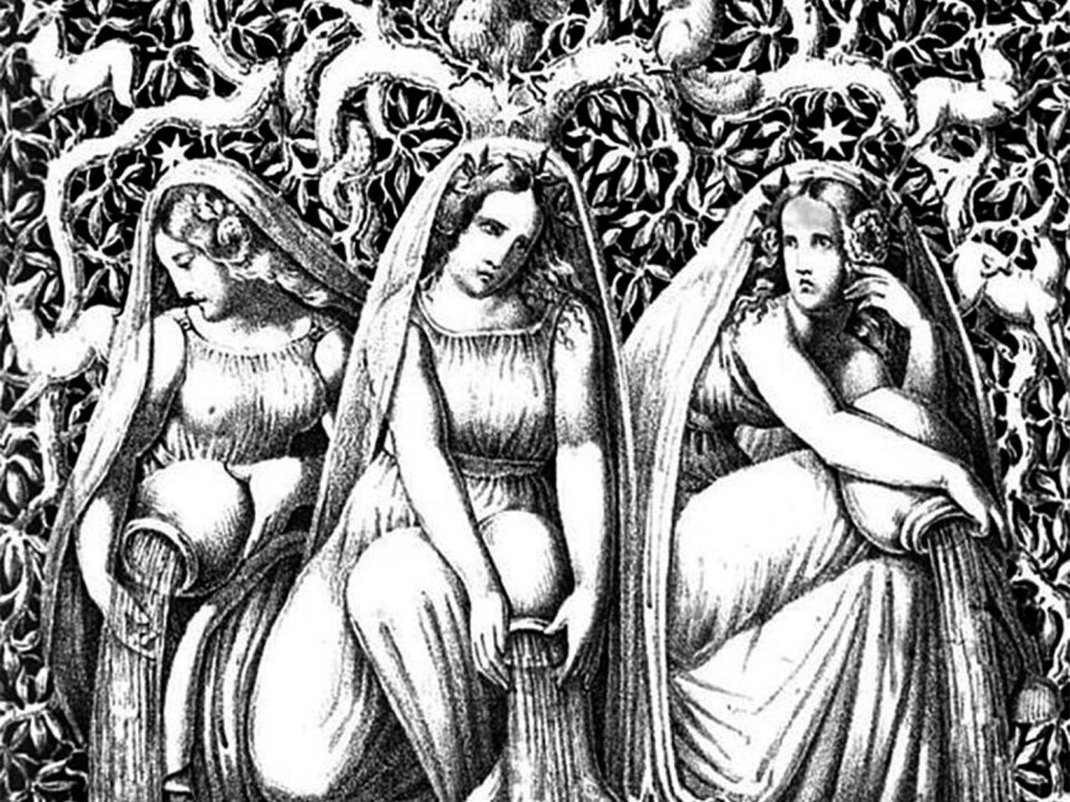 Urd, Verdande and Skuld, also called Norns in Norse mythology, are the three goddesses of destiny. They sit in Åsgård at the roots of the world tree Yggdrasil. One of their tasks is to pour white sand over the tree roots. (Illustration: Die Helden und Götter des Nordens, oder Das Buch der Sagen. G. Gropius) Urd, Verdande and Skuld, also called Norns in Norse mythology, are the three goddesses of destiny. They sit in Åsgård at the roots of the world tree Yggdrasil. One of their tasks is to pour white sand over the tree roots. (Illustration: Die Helden und Götter des Nordens, oder Das Buch der Sagen. G. Gropius)