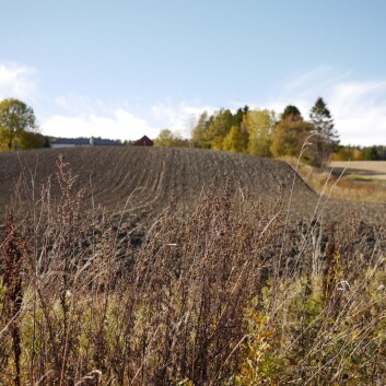 Målet med forskningsprosjektet SoilCARE er å finne mer bærekraftige måter å drive jorden på. (Foto: Kathrine Torday Gulden) Målet med forskningsprosjektet SoilCARE er å finne mer bærekraftige måter å drive jorden på. (Foto: Kathrine Torday Gulden)
