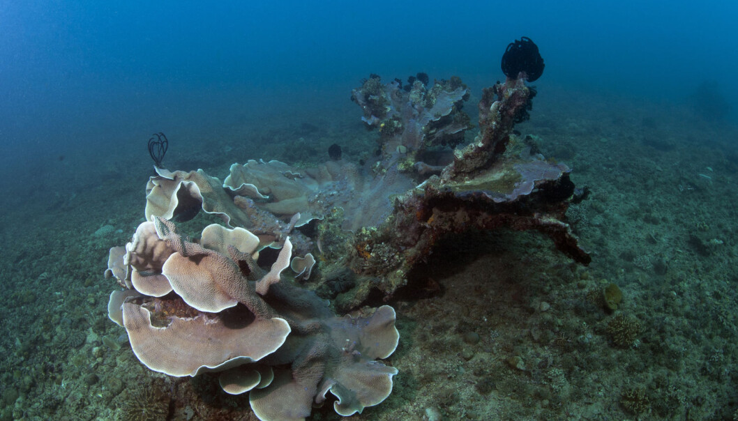 Satellites are likely to become increasingly important for monitoring ocean acidification, especially in remote waters. (Photo: AGE/Scanpix) Satellites are likely to become increasingly important for monitoring ocean acidification, especially in remote waters. (Photo: AGE/Scanpix)
