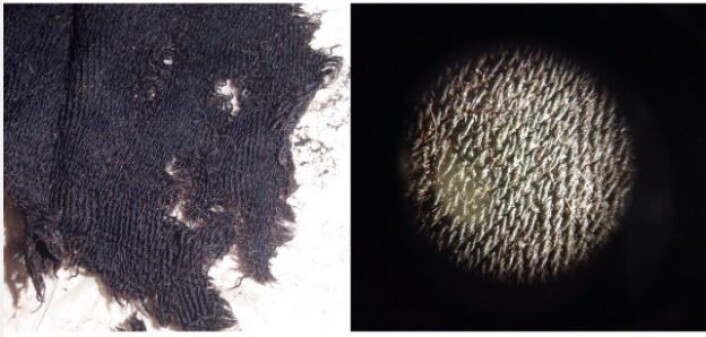 Treskaftet kypertavart med varierte diagonalvendinger. Stripe/rutemønsteret er faktisk enklere å se med det blotte øye enn i mikroskop.
(Foto: NIKU 2015) Treskaftet kypertavart med varierte diagonalvendinger. Stripe/rutemønsteret er faktisk enklere å se med det blotte øye enn i mikroskop.
(Foto: NIKU 2015)