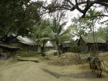 In this village in Bangladesh electricity was introduced for the first time. Even a single light bulb greatly simplified the life of families. (Photo: Hanne Cecilie Geirbo)