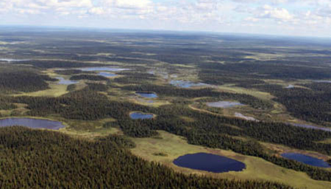 Panorama from Russia’s Imadra-Varzuga Greenstone Belt, where some of the FAR DEEP project drilling took place. (Photo: Victor Melezhik) Panorama from Russia’s Imadra-Varzuga Greenstone Belt, where some of the FAR DEEP project drilling took place. (Photo: Victor Melezhik)