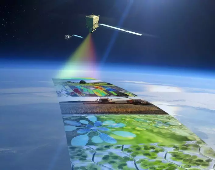 FLEX er ESAs nye forskningssatellitt i Earth Explorer-programmet. FLEX skal måle plantehelse og tilstanden til avlinger fra rommet ved å se gløden fra fotosyntese.  (Foto: ESA/ATG medialab)