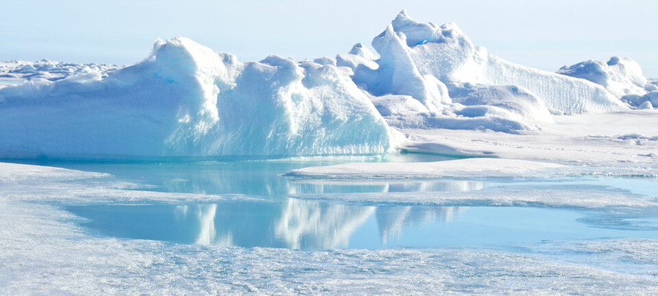 I Arktis er det fred og fordragelighet – også politisk. De arktiske statene har nemlig økonomiske interesser på Nordpolen, som inneholder ressurser som mineraler, gass, olje og fisk.  (Foto: Christopher Wood, Shutterstock, NTB scanpix)