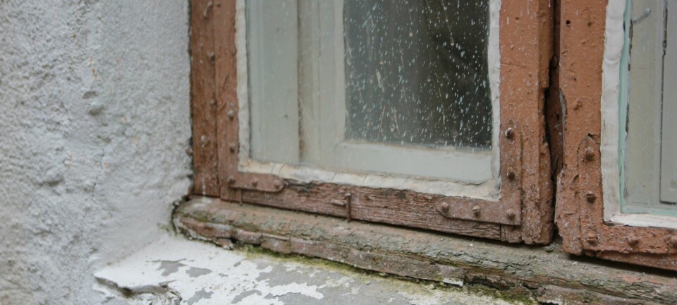 Eldre vindu i en bygård på Grünerløkka i Oslo. Gamle vinduer i et verneverdig bygg kan ikke skiftes, men de kan tettes, isoleres og repareres, ifølge kulturminneforskere.  (Foto: NIKU)