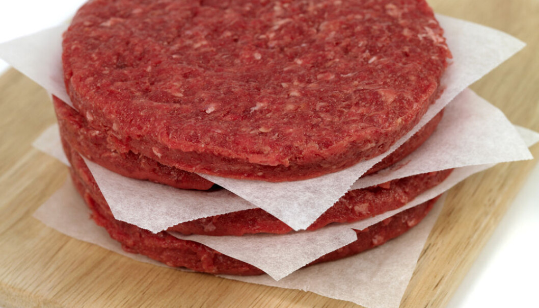 E. coli bacteria in food may cause grave illness. (Photo: Colourbox) E. coli bacteria in food may cause grave illness. (Photo: Colourbox)