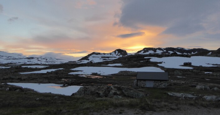 Ås- og fjelltopplandskap på Finse ved solnedgang. Foto: HAU Ås- og fjelltopplandskap på Finse ved solnedgang. Foto: HAU