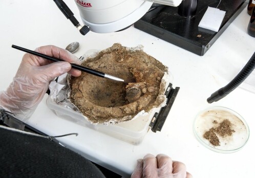 The mystery of a deeply gouged Viking shield