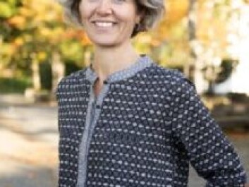 Gunhild Setten is a Professor of Geography at NTNU and heads up the ClimRes research project. (Photo: NTNU) Gunhild Setten is a Professor of Geography at NTNU and heads up the ClimRes research project. (Photo: NTNU)